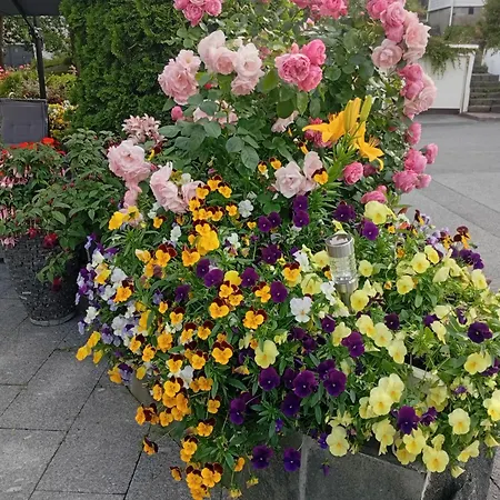 Baneheia Leilighet *