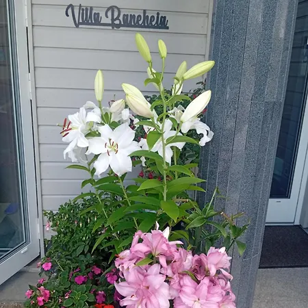 Apartman Baneheia