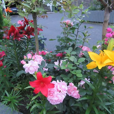 Baneheia Leilighet Kristiansand