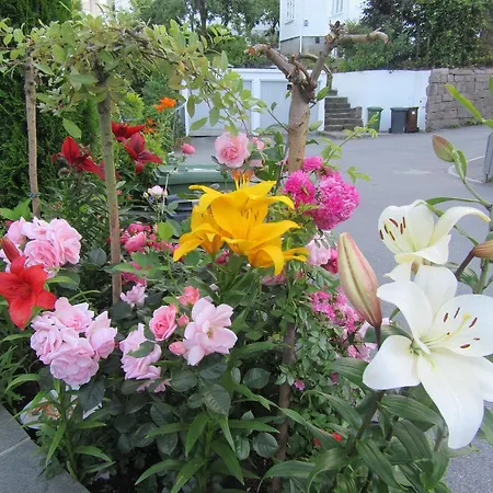 Baneheia * Kristiansand