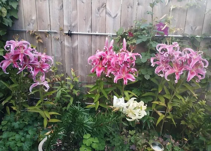 Lejlighed Baneheia Kristiansand