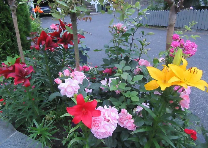 Baneheia Lejlighed Kristiansand