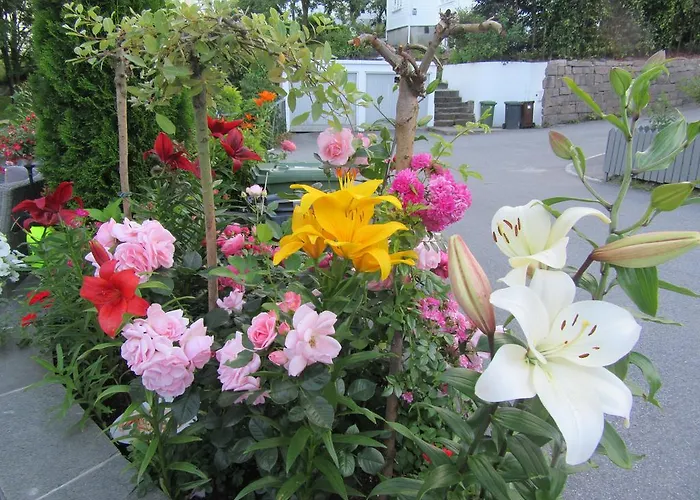 Baneheia * Kristiansand