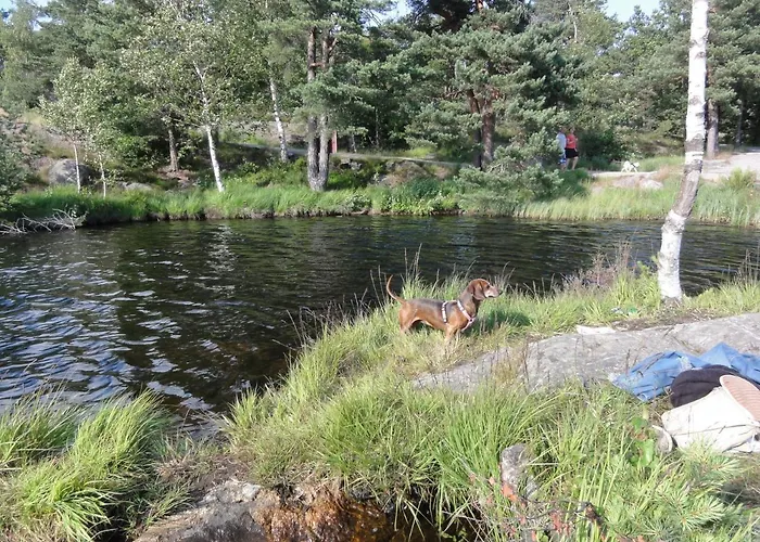 Baneheia * Kristiansand